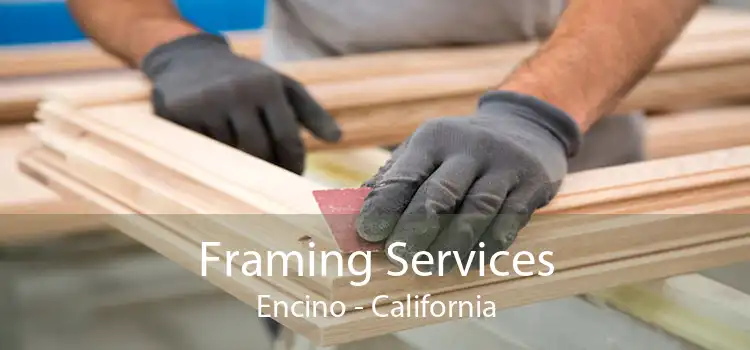 Framing Services Encino - California